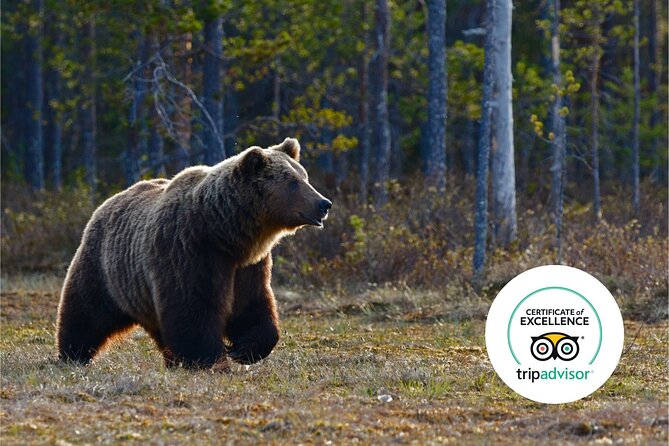 Banff Highlights & Wildlife | Award-Winning Small Group Adventure - Lake Minnewanka and Two Jack Lake bring the wildlife focus