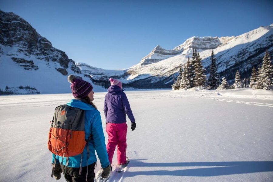 Banff: Icefields Parkway & Abraham Lake Ice Bubbles Tour - Peyto Lake requires winter effort