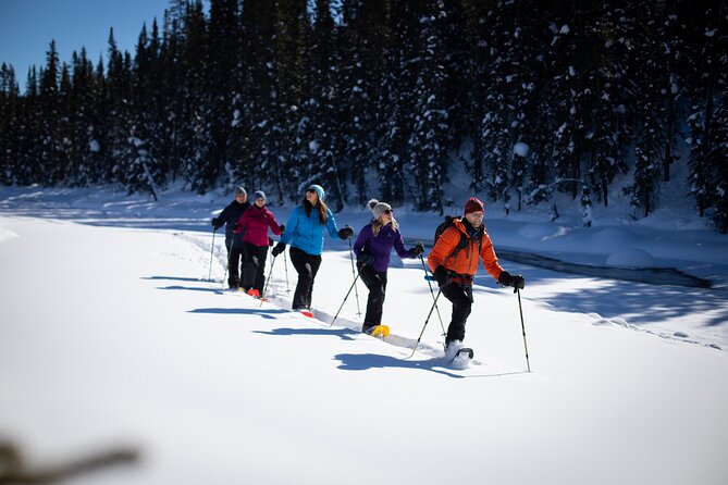 Banff, Lake Louise and Johnston Canyon - Winter Wonderland Tour - The guides shape the whole day