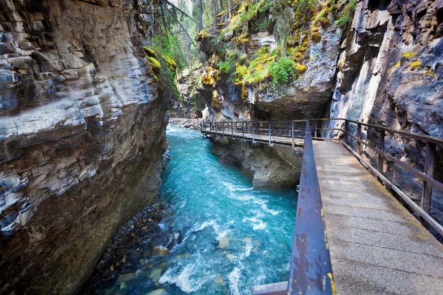 Banff: Lake Louise,Emerald & Johnston Canyon+5More - A big Rockies day for people short on time