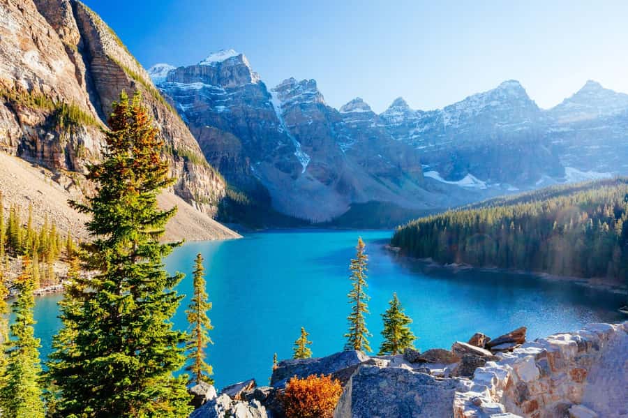 Banff: Lake Louise,Lake Minnewanka,Emerald Lake & Banff Town - Johnston Canyon, where the walk becomes the activity