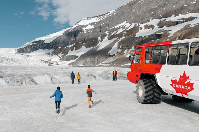 Banff: Lake Louise, Marble Canyon, Bow Lake, Peyto Lake Tour - The Columbia Icefield: the day’s main decision