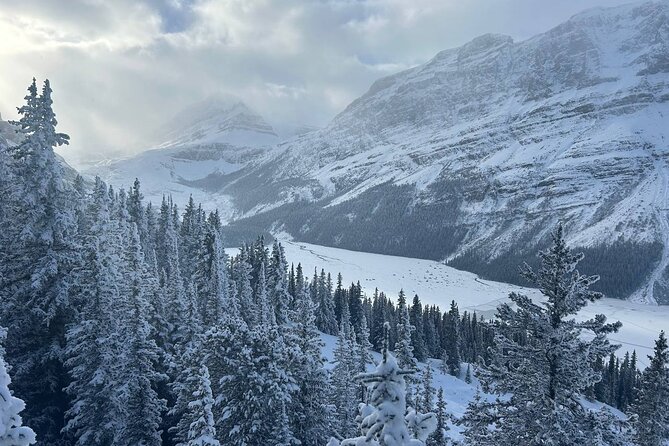 Banff Lakes and Canyon Adventure - What the $81.48 price covers