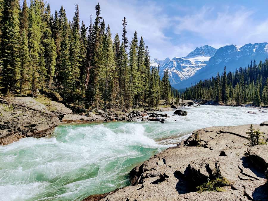Banff: Moraine Lake, Lake Louise, Emerald Lake and Yoho Trip - Marble Canyon keeps the winter tour worthwhile