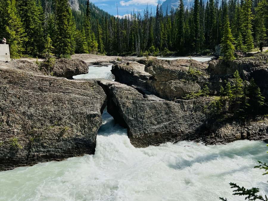 Banff: Moraine Lake, Lake Louise, Emerald Lake and Yoho Trip - Is $61 a fair price?