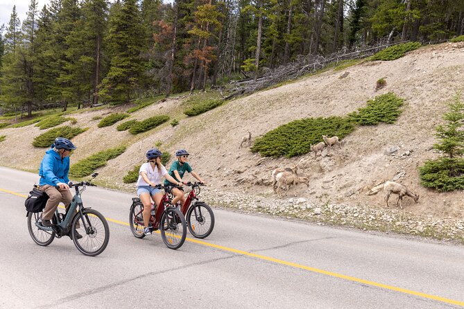 Banff Mountain Lakeside - E-bike Tour - Why the Minnewanka loop works so well by e-bike
