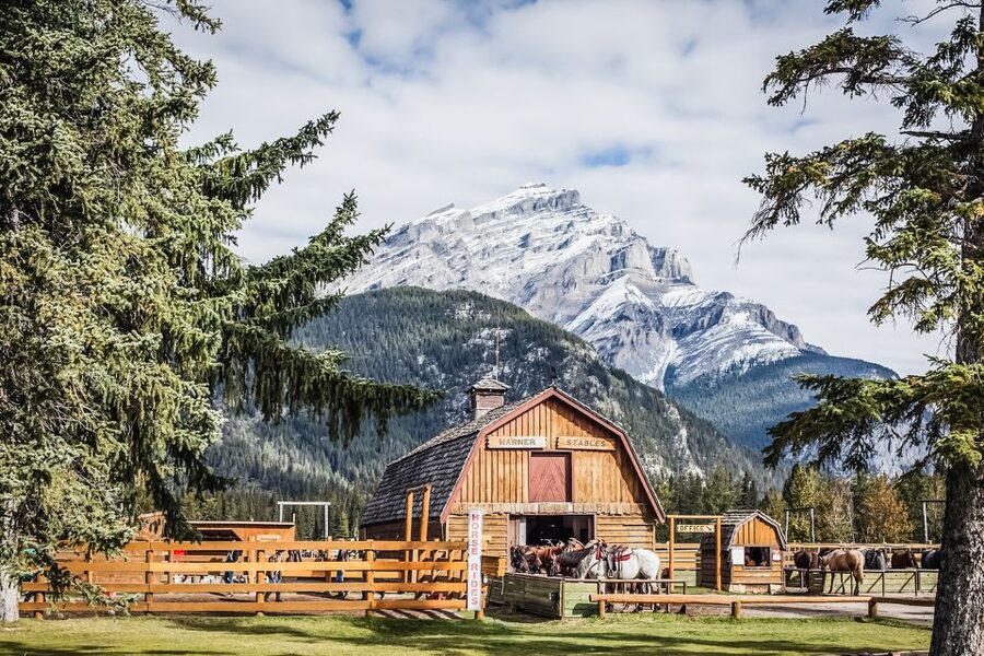 Banff National Park: 1-Hour Bow River Horseback Ride - What the one-hour route includes