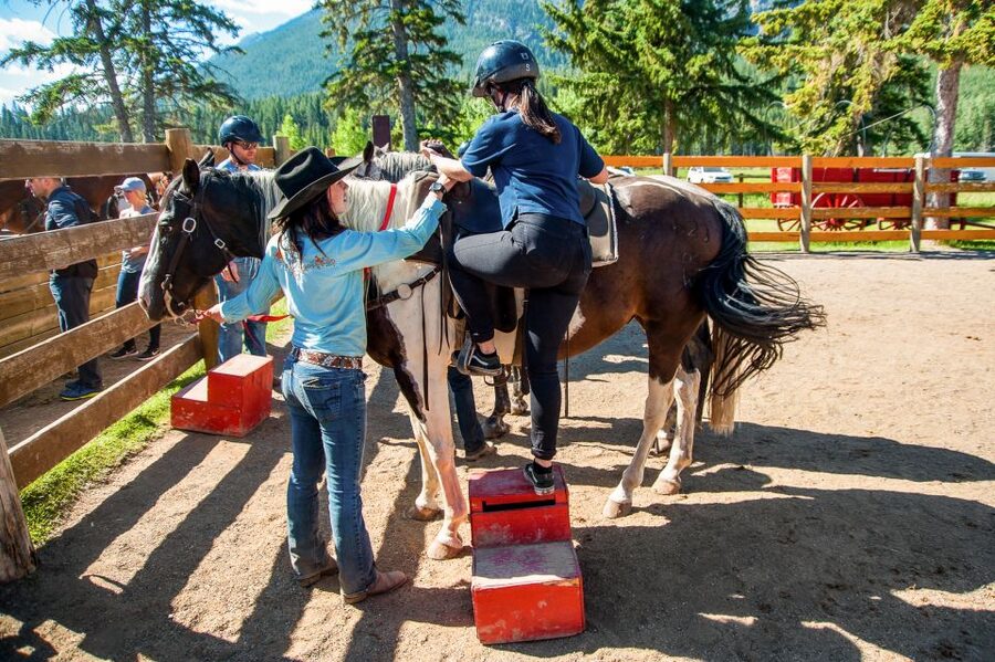 Banff National Park: 1-Hour Bow River Horseback Ride - The horses are a big part of the appeal