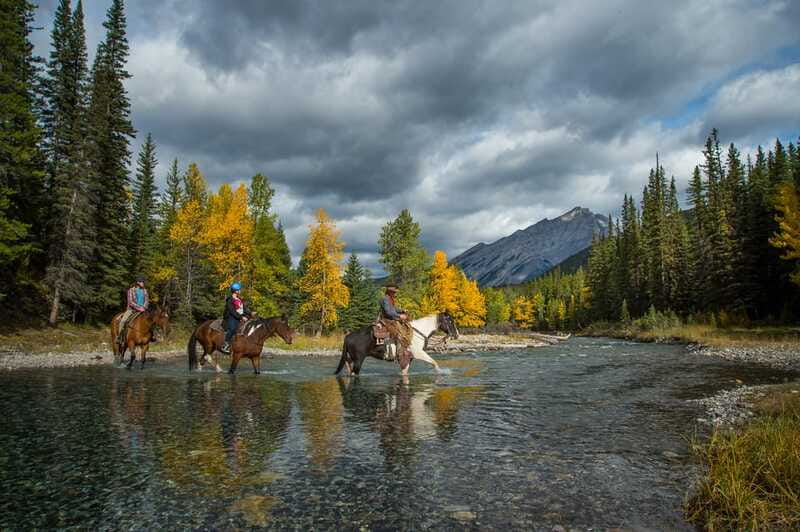 Banff National Park: 1-Hour Spray River Horseback Ride - Crossing the Spray River