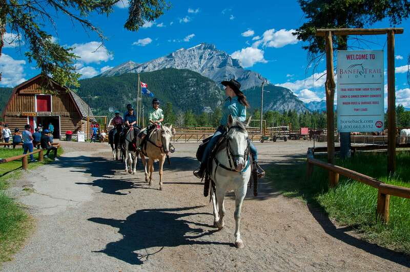Banff National Park: 2-Hour Sundance Loop Horseback Ride - Climbing Sulphur Mountain to Windy Knoll
