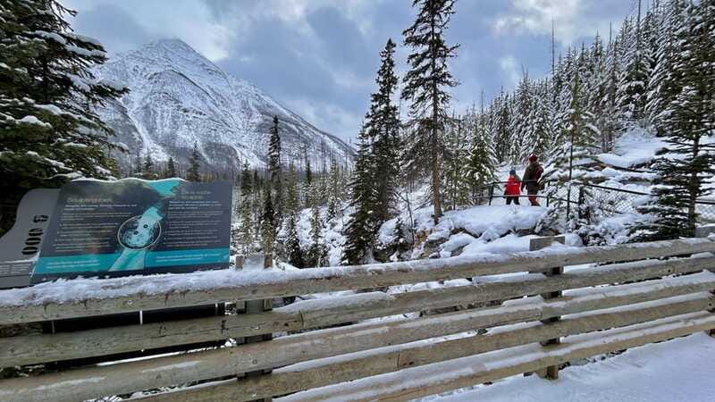 Banff National Park: Canyons, Lakes & Local Favourites - Who should book this day trip