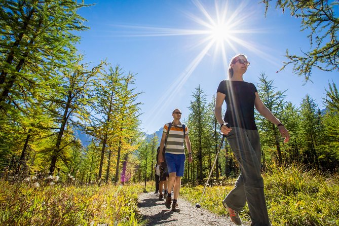 Banff National Park Guided Hike with Lunch - How much value do you get for $153.71?