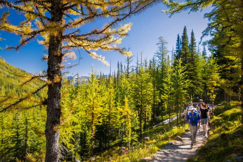 Banff National Park: Guided Signature Hikes with Lunch - What the seven-hour day feels like