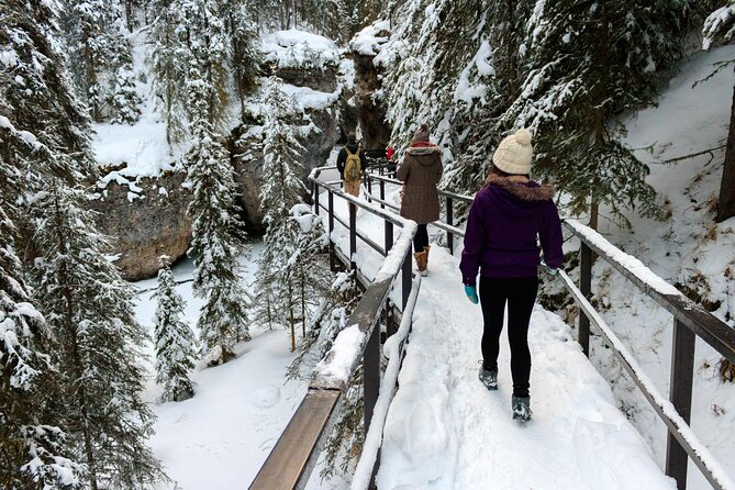 Banff National Park & Lake Louise FULL DAY PRIVATE TOUR - Bow Falls and Surprise Corner