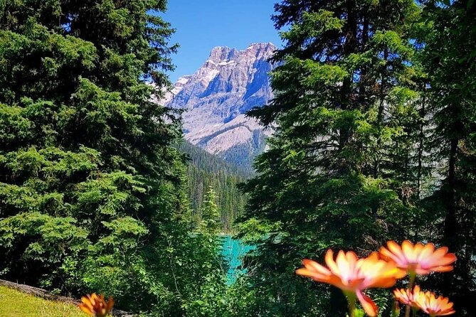 Banff National Park Moraine Lake and Lake Louise Explorer Tour - What the guides add to the ride