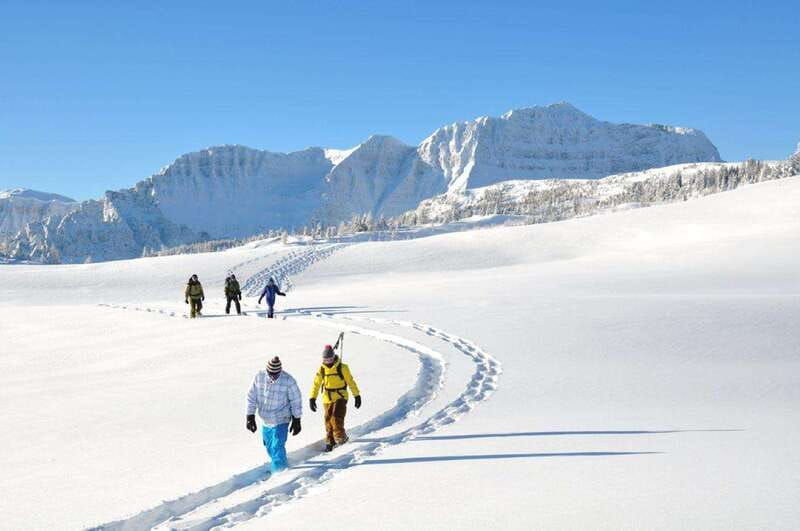Banff National Park: Sunshine Meadows Snowshoeing Experience - Should you book the Sunshine Meadows snowshoe tour?