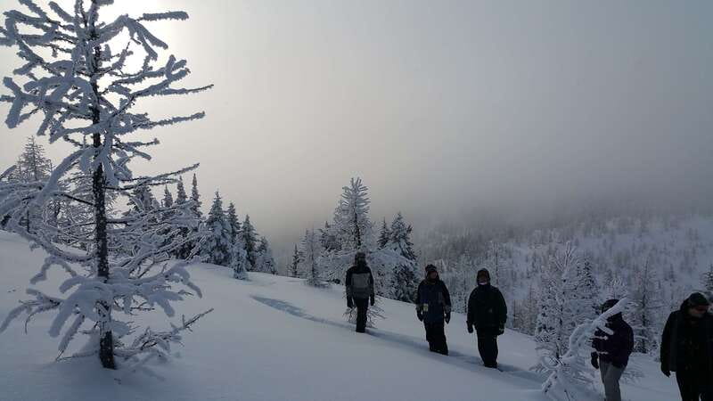 Banff National Park: Sunshine Meadows Snowshoeing Experience - The gondola ride changes the scale of the day