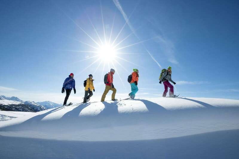 Banff National Park: Sunshine Meadows Snowshoeing Experience - What the guides add to the walk