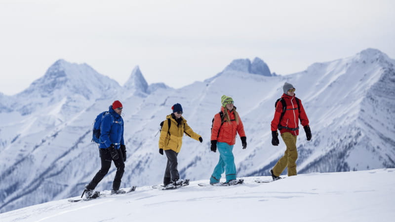 Banff National Park: Sunshine Meadows Snowshoeing Experience - Powder, views, and the honest weather tradeoff