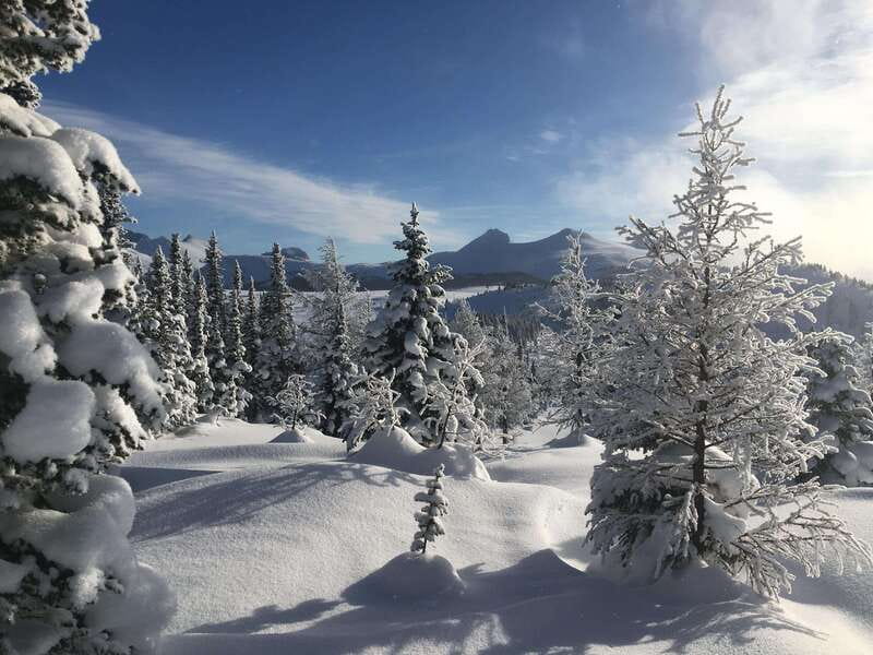 Banff National Park: Sunshine Meadows Snowshoeing Experience - Who will enjoy this most?