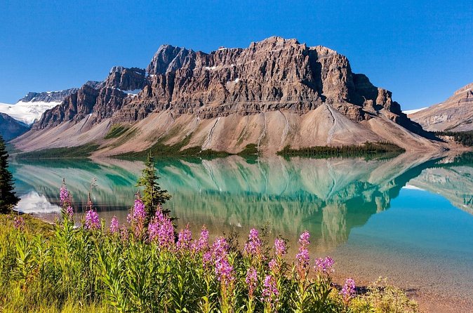 Banff National Park Tour with a Small Group - Lake Louise and the day’s scenic stops