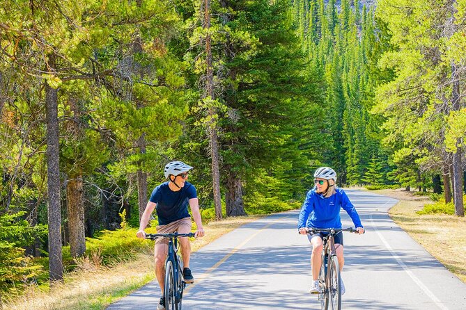 Banff Nature E-bike Tour - Bow Falls brings the noise and force