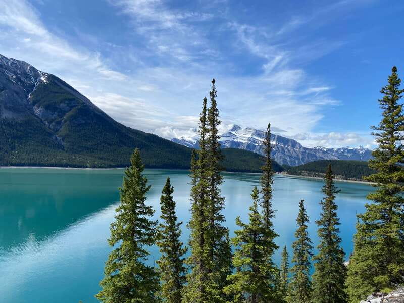 Banff PRIVATE Guided Nature Walk + Transportation - 2.5H - Bow River water, mountain views, and photo stops