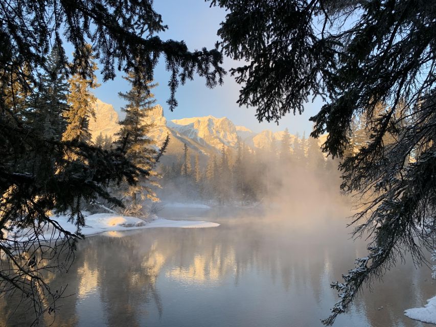 Banff PRIVATE Guided Nature Walk + Transportation - 2.5H - What the private format is worth