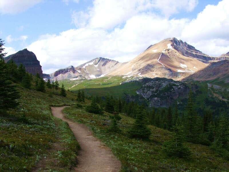 Banff PRIVATE Guided Nature Walk + Transportation - 2.5H - Who will enjoy this Banff walk most