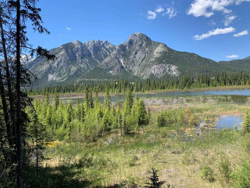 Banff PRIVATE Guided Nature Walk + Transportation - 2.5H - The 15-minute ride into Banff National Park