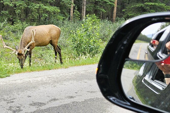 Banff Private Tour - Beyond the basics - Lake Louise: the day’s headline view