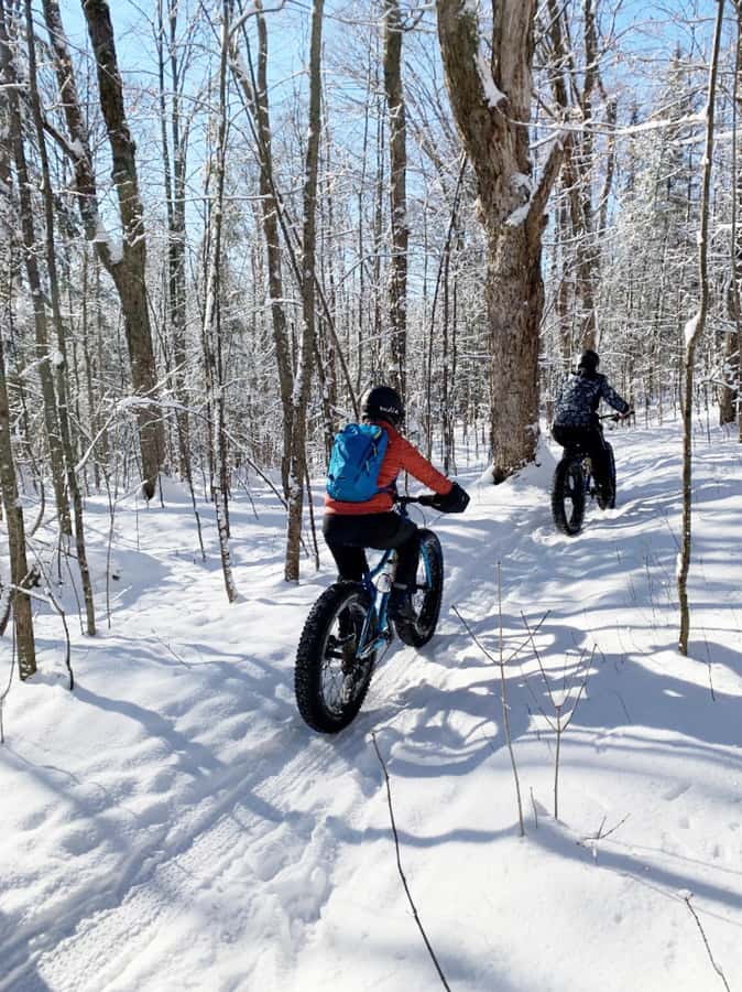 Banff Top Sights via Electric Fat Bike Tour All Skill Levels - Forest paths, mountain views, and riverside riding