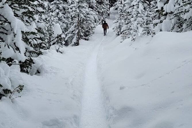 Banff Town, Lake Louise, Moraine, Emerald & Canyon Day Trip - Lunch at Lake Louise Village keeps the sightseeing practical