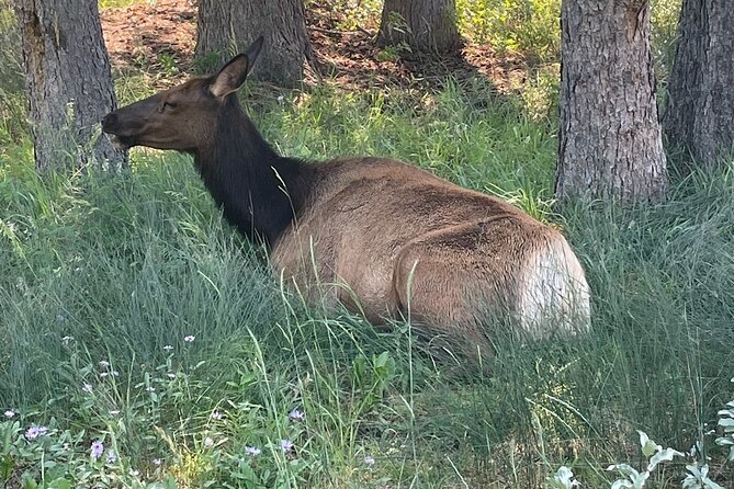 Banff Town Walking Tour Includes Refreshment and Sweet Treat - Photo stops that leave room to look around
