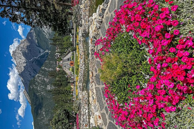 Banff Town Walking Tour Includes Refreshment and Sweet Treat - Is the $51.04 price good value?