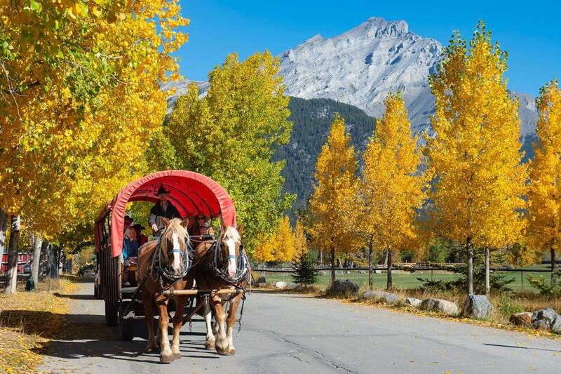 Banff: Wagon Ride with Cowboy Cookout BBQ - At a glance