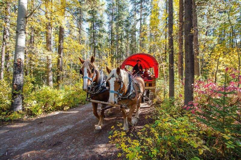 Banff: Wagon Ride with Cowboy Cookout BBQ - Roping, horseshoes, and time to slow down