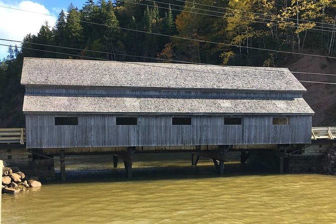 Bay of Fundy Tour by Bus - Reversing Falls Rapids: start with a natural oddity