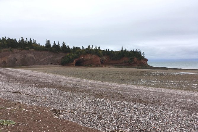 Bay of Fundy Tour by Bus - Saint John City Market in a compact half hour