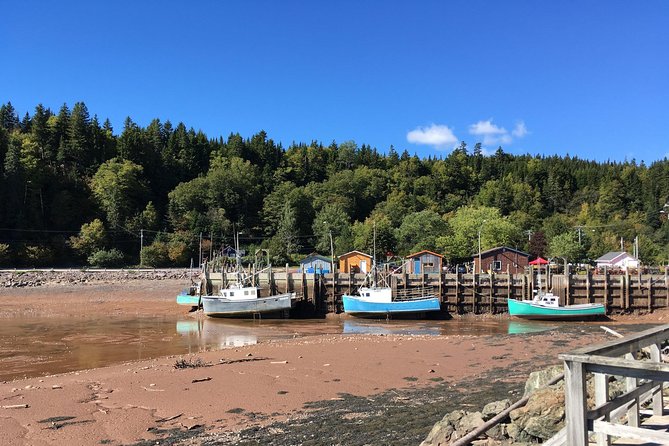Bay of Fundy Tour by Bus - St. Martins sea caves and the Fundy shore