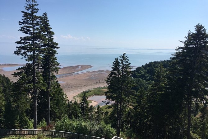 Bay of Fundy Tour by Bus - Covered bridges, lighthouses, and useful extra stops