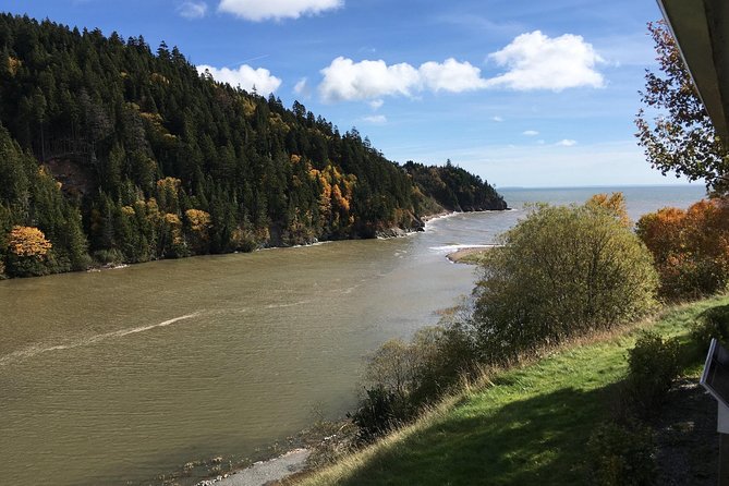Bay of Fundy Tour by Bus - Lunch near the caves, with extra cost