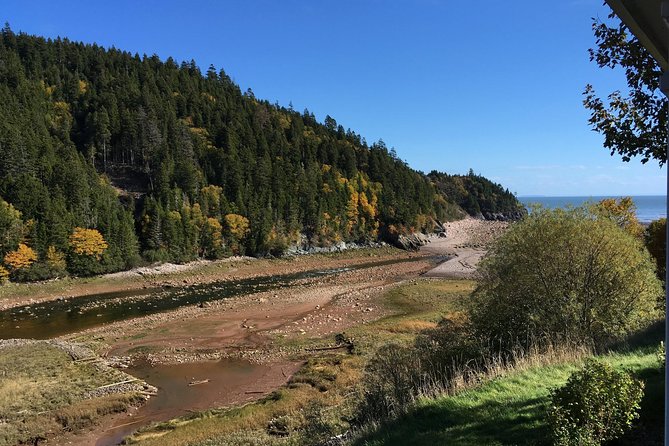 Bay of Fundy Tour by Bus - Guides make a major difference