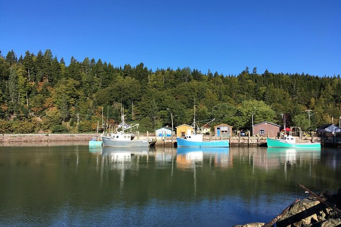 Bay of Fundy Tour by Bus - Fort Howe and Carleton Martello Tower