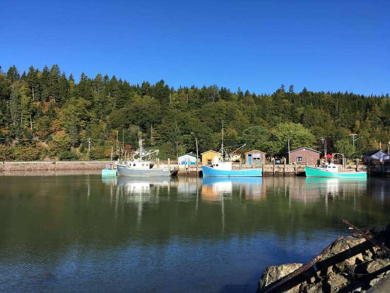 Bay of Fundy Tour by Mini Van - Six hours from ship to shore
