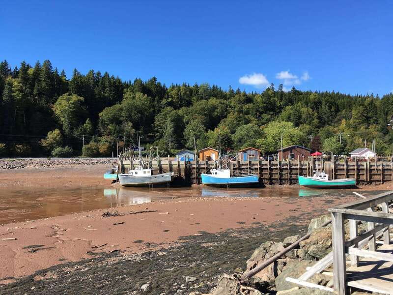 Bay of Fundy Tour by Mini Van - Starting at the Marco Polo Cruise Terminal