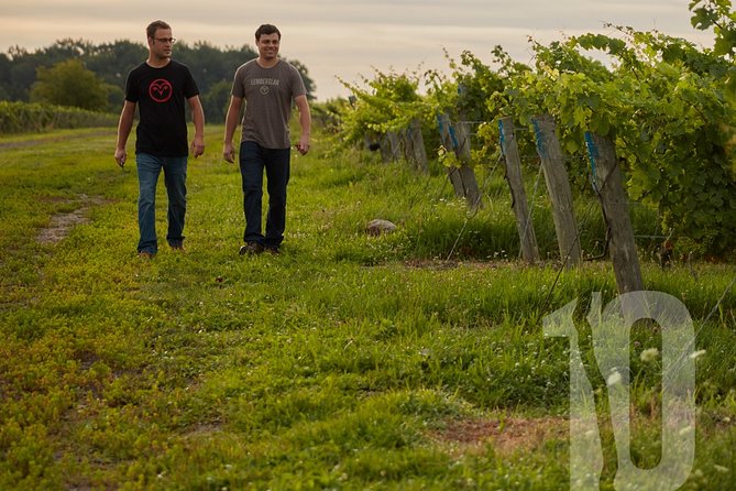 Between The Lines Classic Wine Tasting - Is $18.78 per person good value?