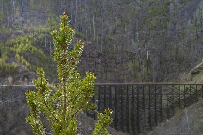 Bicyle Tour on Historical Kettle Valley Railway from Myra Canyon to Penticton - What the $184.58 price buys you