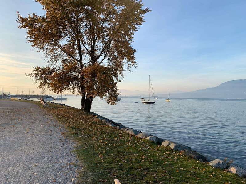 Bike and Hike Vancouver - Granville Island and False Creek by bike