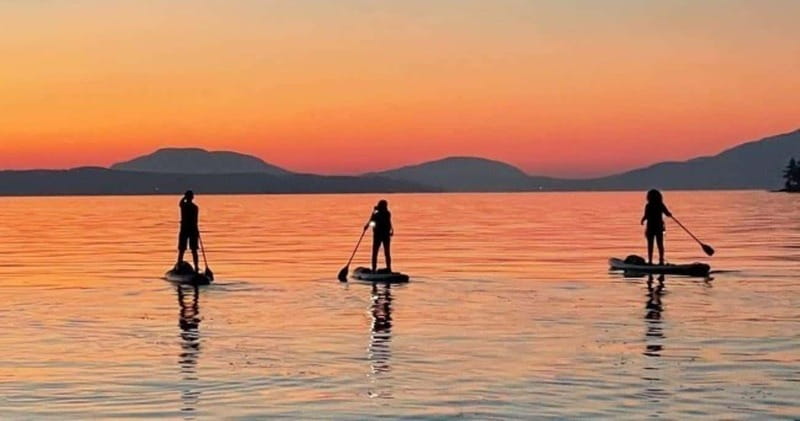 Brentwood Bay: Bioluminescence Tour - Why Brentwood Bay works so well after dark
